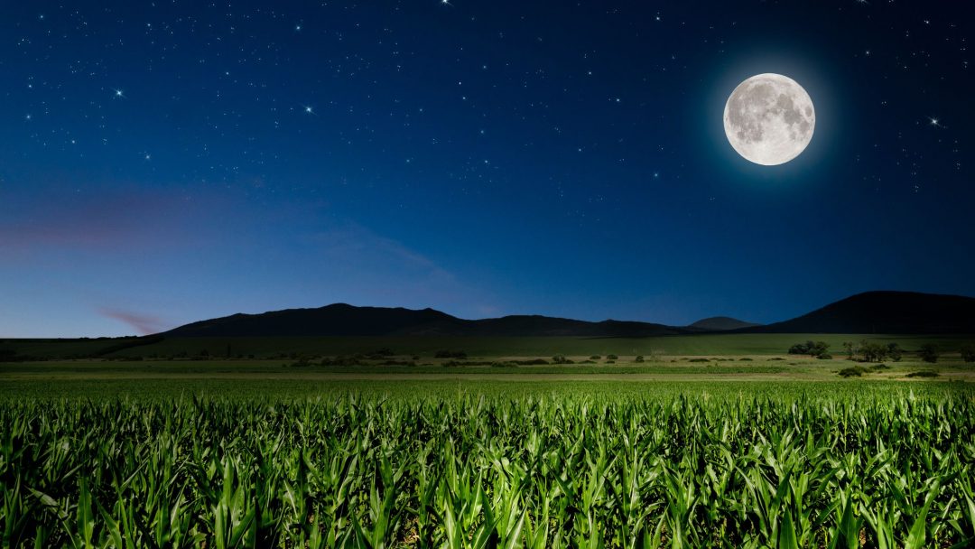 Vollmond Am 9 August Dein Leben Ändert Sich Diese 4 Sternzeichen Im Fokus - 1lj6t3u