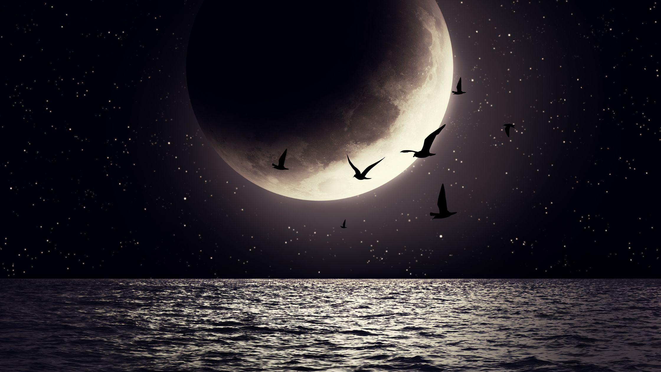Für 4 Sternzeichen beginnt zum Neumond am 9. Februar 2024 eine ruhige Phase im Leben