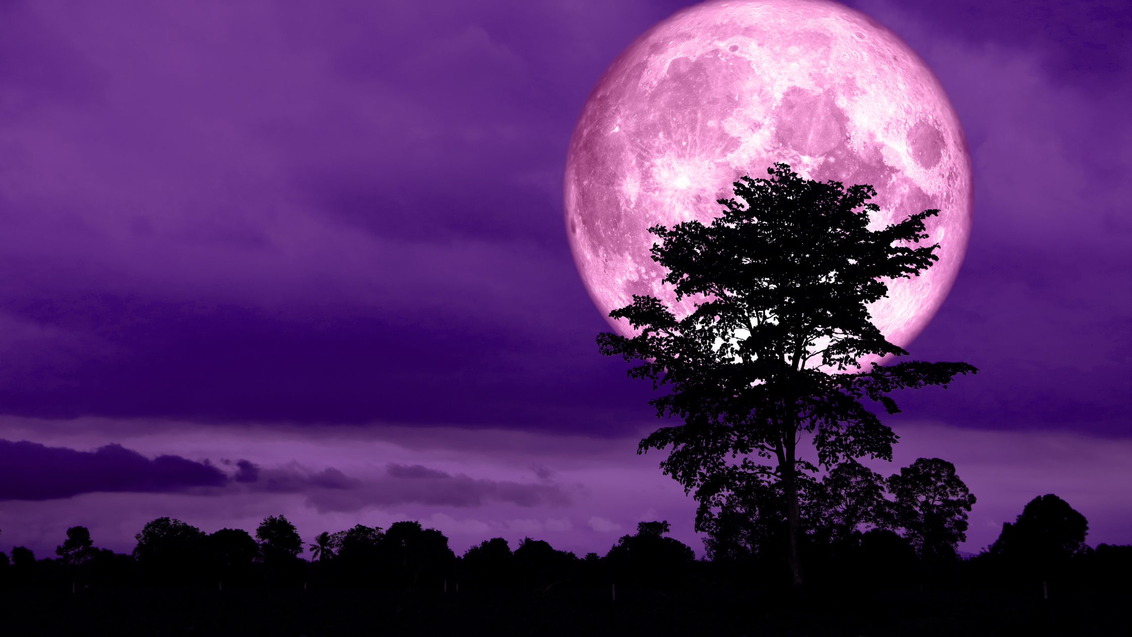 Diese 3 Sternzeichen werden zum Vollmond am 25. März 2024 der wahren Liebe begegnen