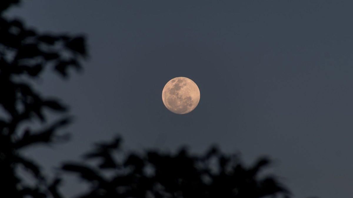 3 Sternzeichen werden zum Vollmond am 23. Mai eine Veränderung in der Liebe erleben
