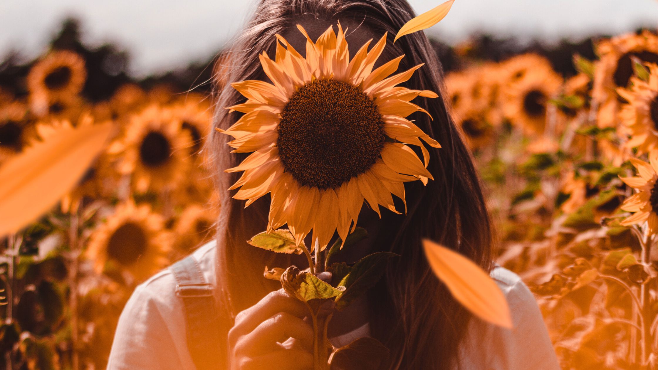 Diese 3 Sternzeichen erleben am 26. Juli 2024 ein negatives Ereignis!