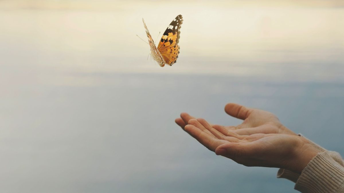 Ende Juli bis Anfang August 2024 wird diesen 4 Sternzeichen Freude und Glück bringen