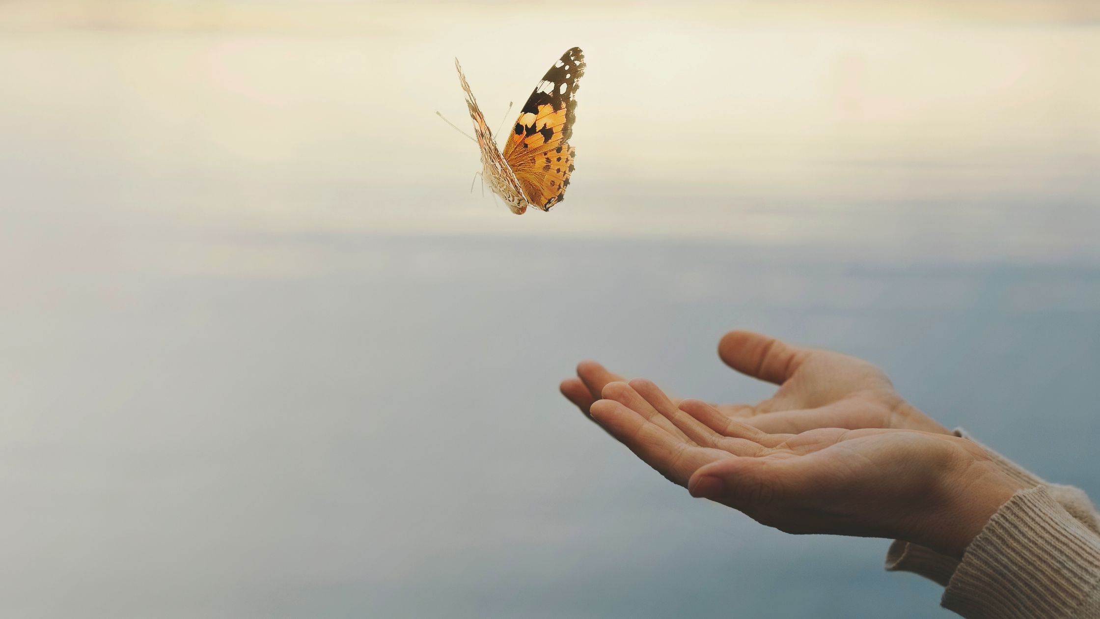 Ende Juli bis Anfang August 2024 wird diesen 4 Sternzeichen Freude und Glück bringen