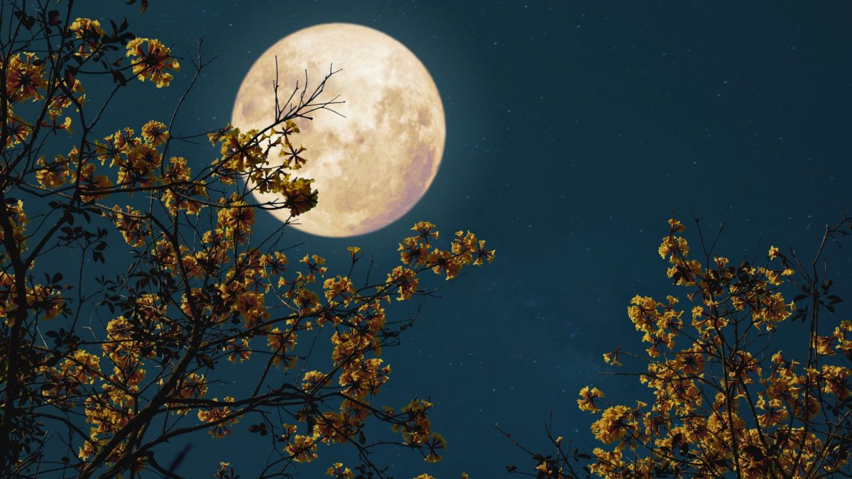 Für 3 Sternzeichen beginnt zum Vollmond im September 2024 eine glückliche Phase