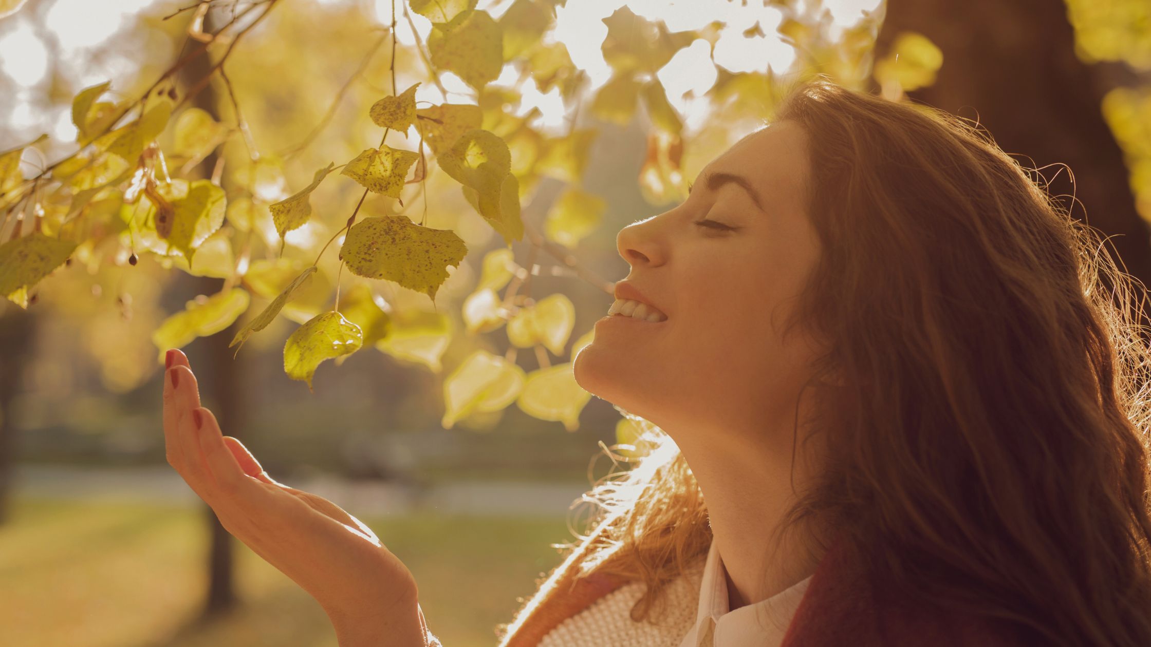 Oktober 2024: Das Universum erfüllt diesen 3 Sternzeichen ihre Wünsche!