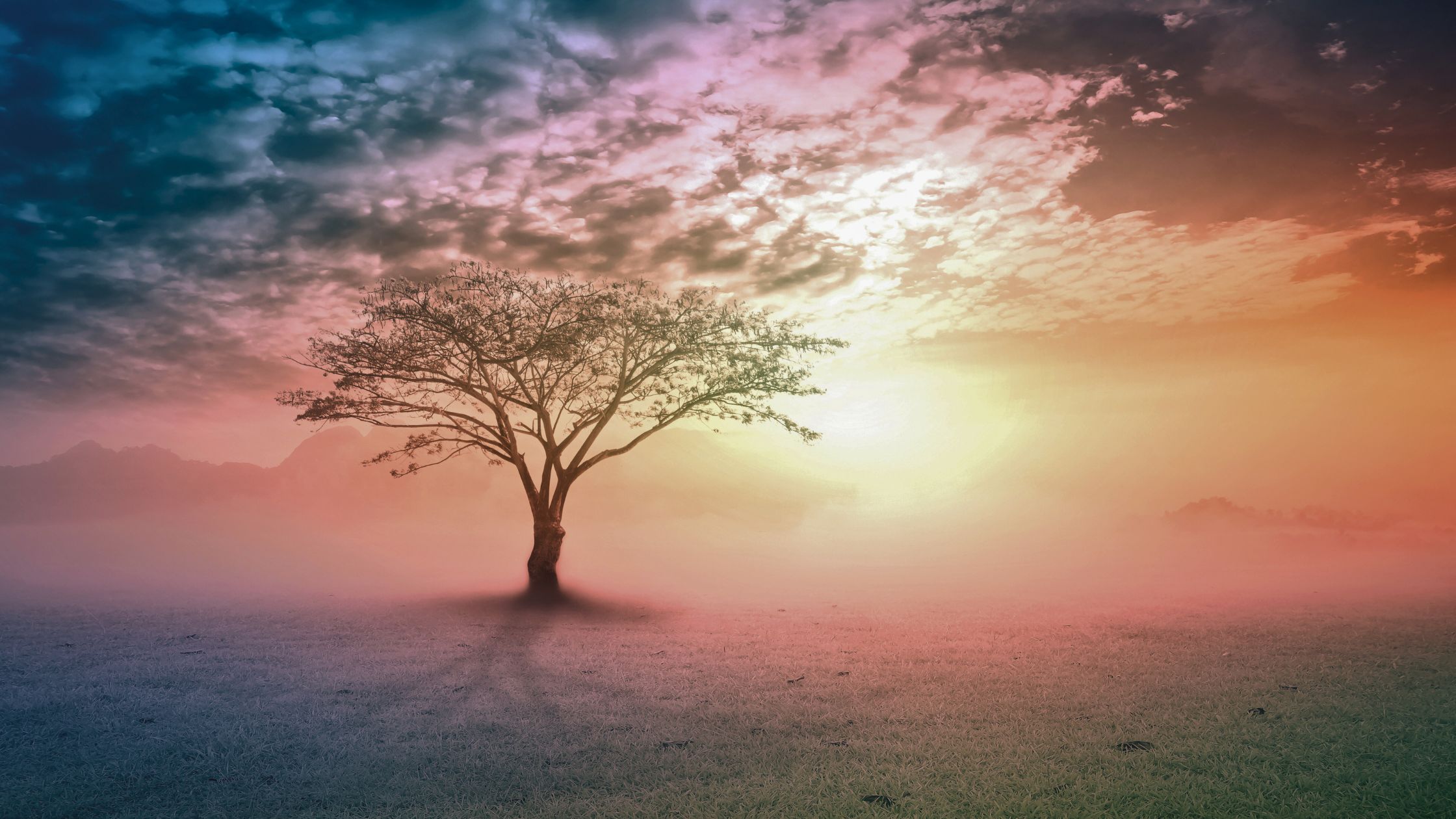 Das hält dein Karma im Jahr 2025 für dich bereit, laut Sternzeichen