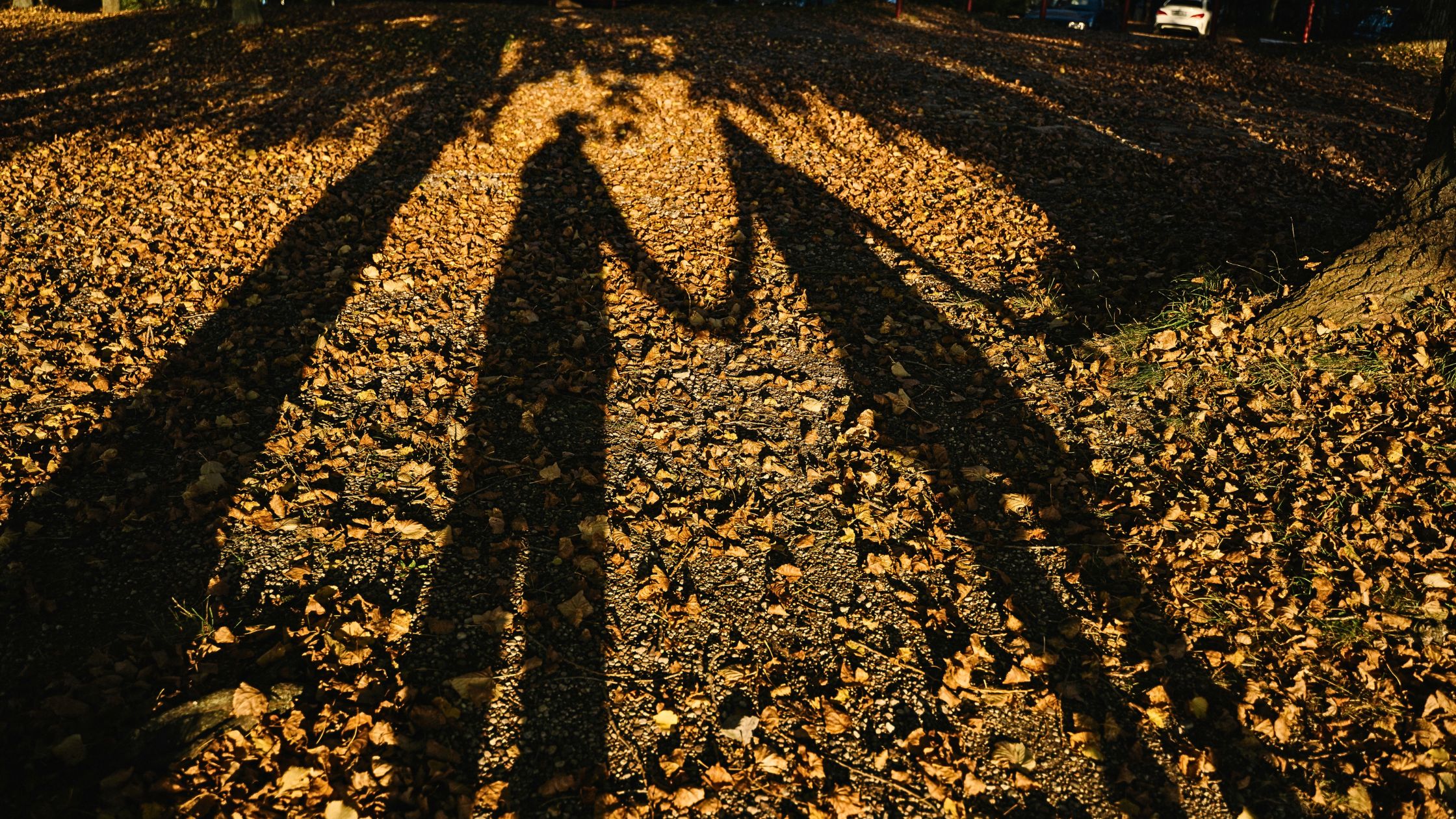 Dein Liebeshoroskop vom 21. bis 27. Oktober 2024