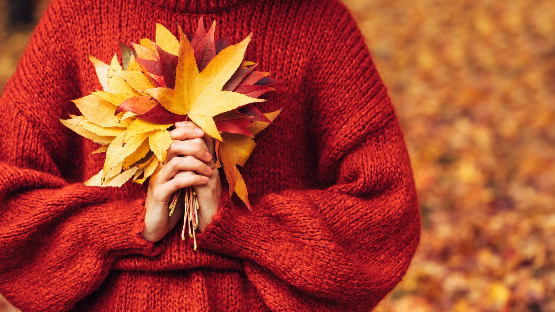 Glückliche Woche für 3 Sternzeichen vom 14. bis 20. Oktober 2024