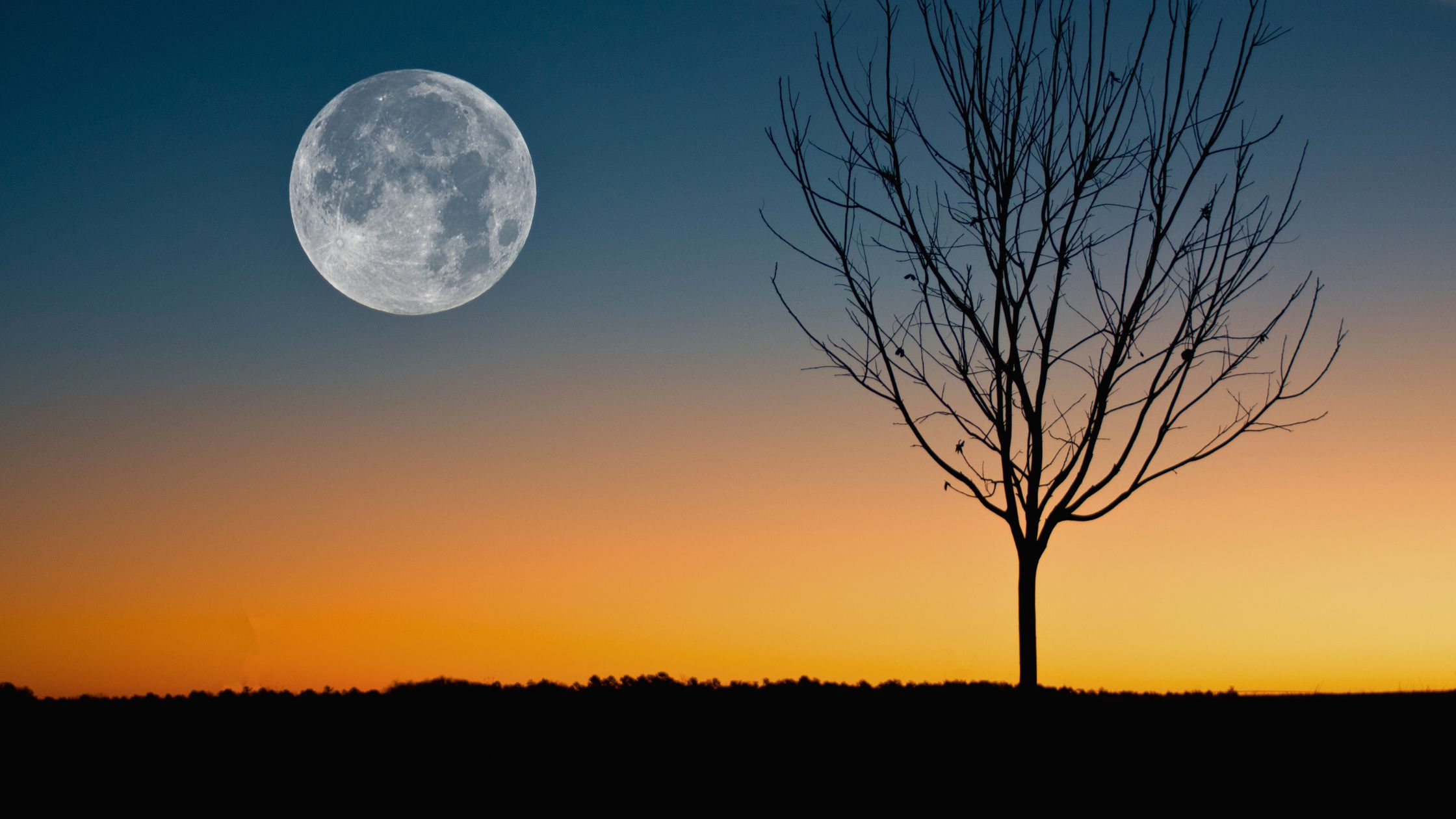 Nach dem Neumond am 1. November: Diese 3 Sternzeichen treffen eine besondere Person!