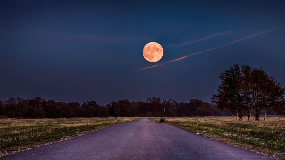 Neumond am 1. November 2024: Diese 3 Sternzeichen brechen aus einer unglücklichen Phase aus