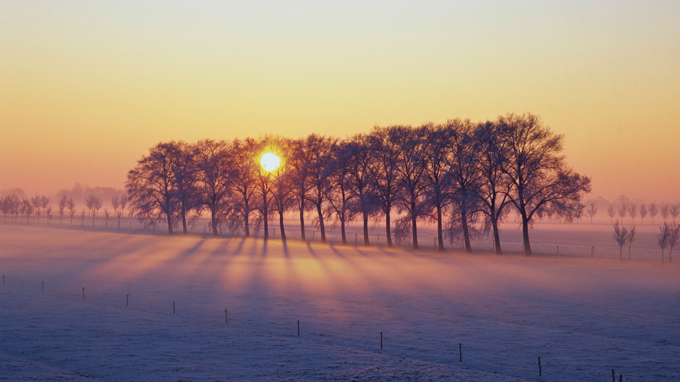 Dein Monatshoroskop für den Monat Dezember 2024