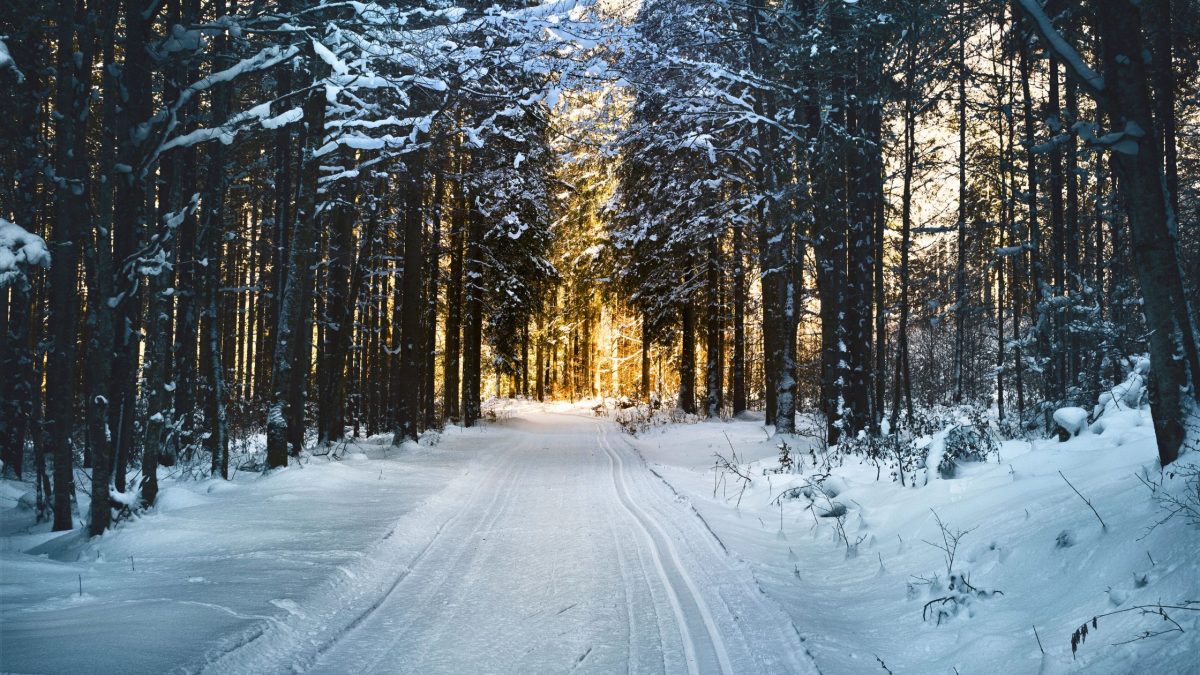 Dezember 2024: Welche Sternzeichen mit der Vergangenheit abschließen muss