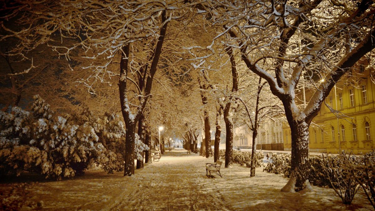 Dein Monatshoroskop für den Monat Januar 2025