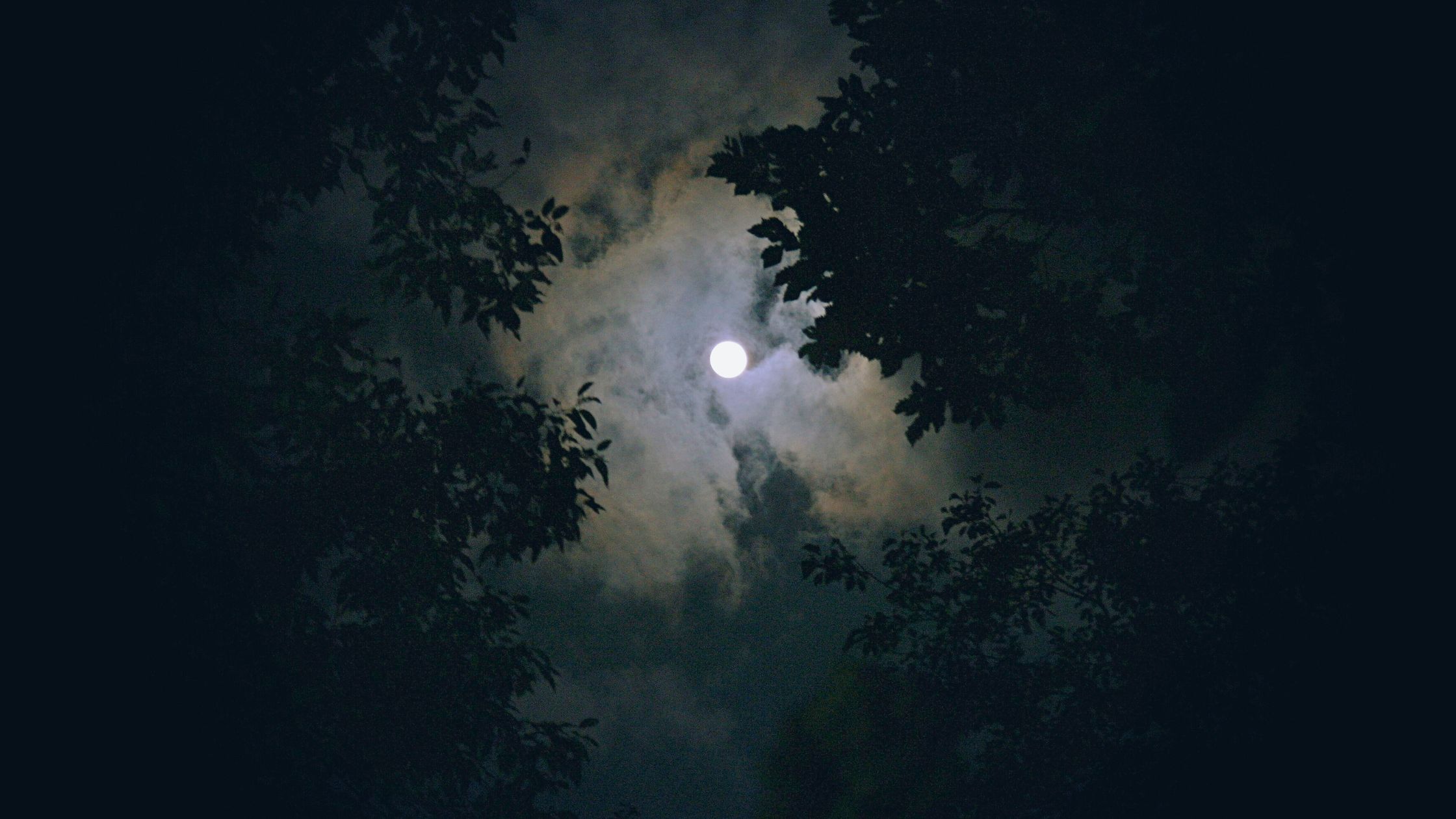 Der Vollmond am 15. Dezember 2024 bringt Glück für 3 Sternzeichen