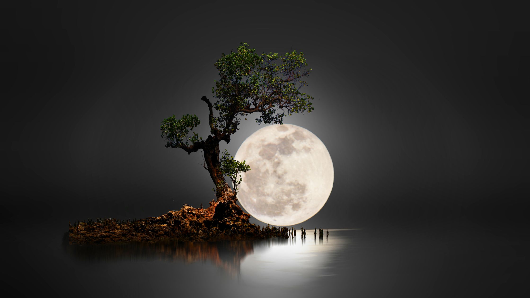 Diese 3 Sternzeichen die zum Vollmond am 15. Dezember 2024 Seelen Heilung erfahren