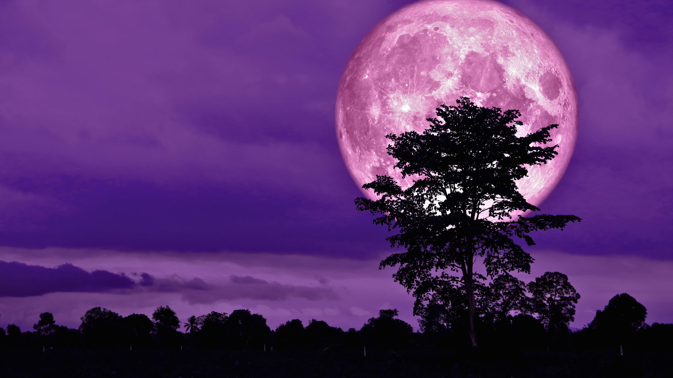 Vollmond 13. Januar 2025: Diese Sternzeichen fühlen sich emotional ausgelaugt