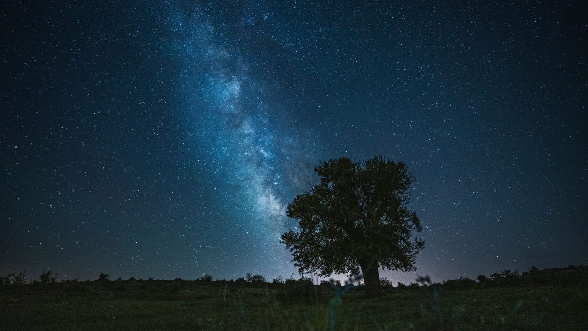 Dein Monatshoroskop für den Monat März 2025