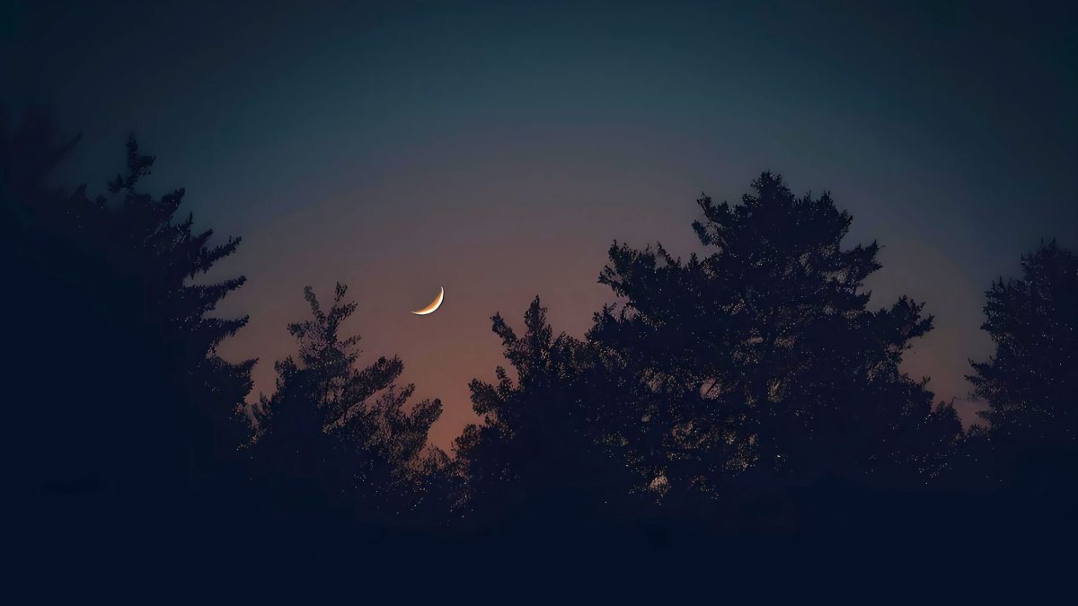 Neumond am 28. Februar: Diese 3 Sternzeichen erleben endlich eine positive Wende!