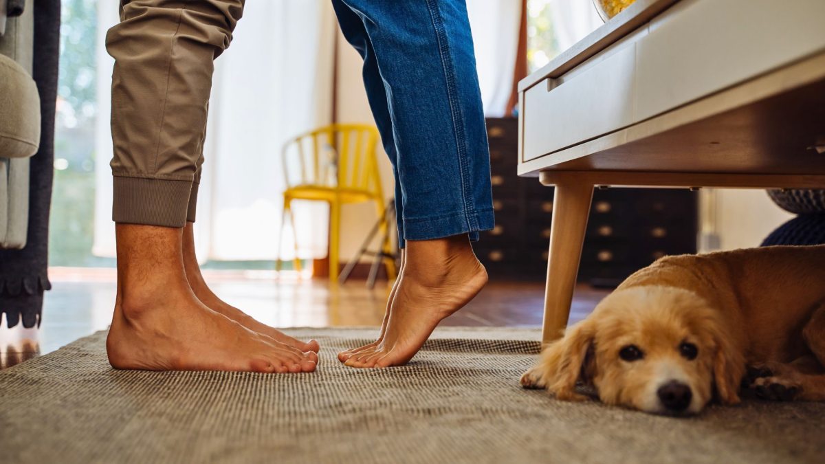 Schicksal: 4 Sternzeichen erleben im Sommer 2025 ein Wiedersehen