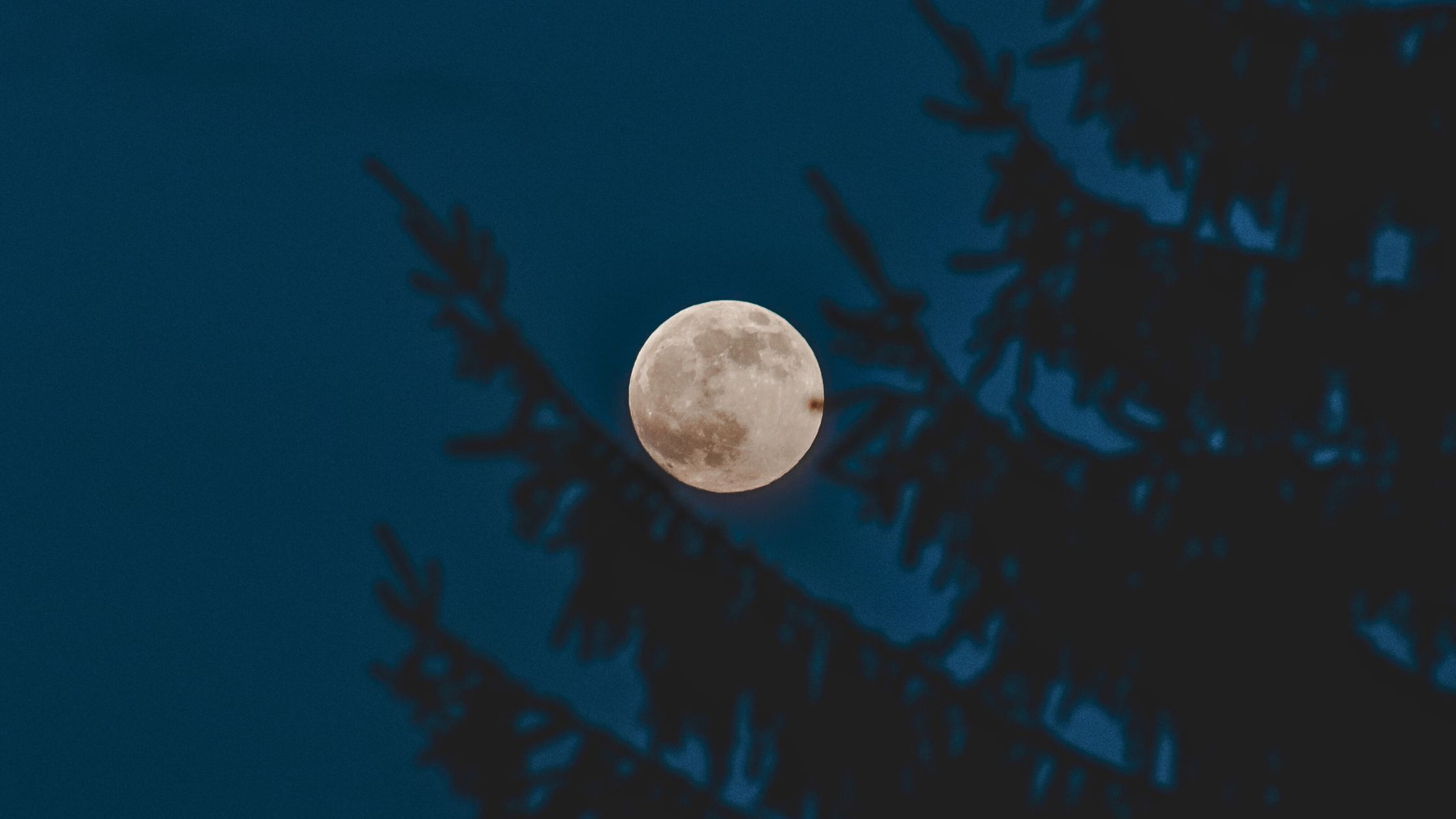 Vollmond Wochenende verändert alles: Für 3 Sternzeichen wird es magisch!