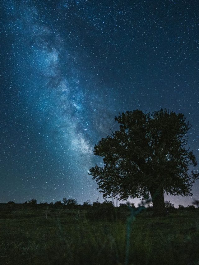 Dein Wochenhoroskop vom 16.–22. Juni 2025  Entdecke, wie Mars, Jupiter, Venus & die Sommersonnwende dein Sternzeichen beeinflussen.