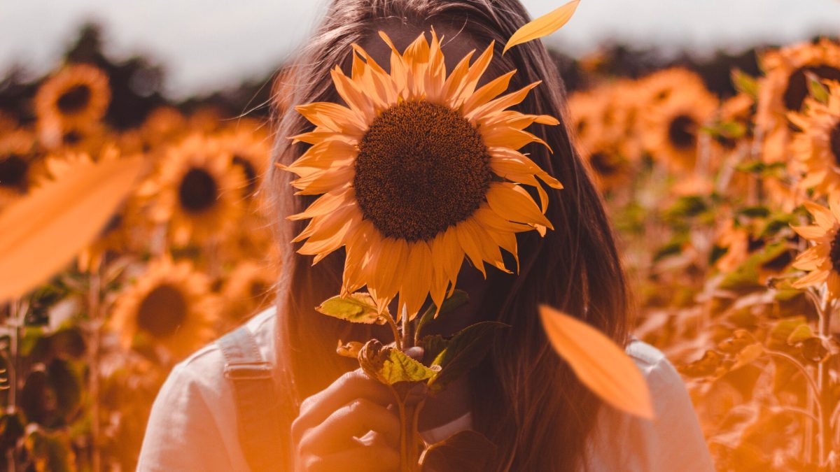 Vergangene Kapitel öffnen sich neu – bei 3 Sternzeichen im Juni 2025