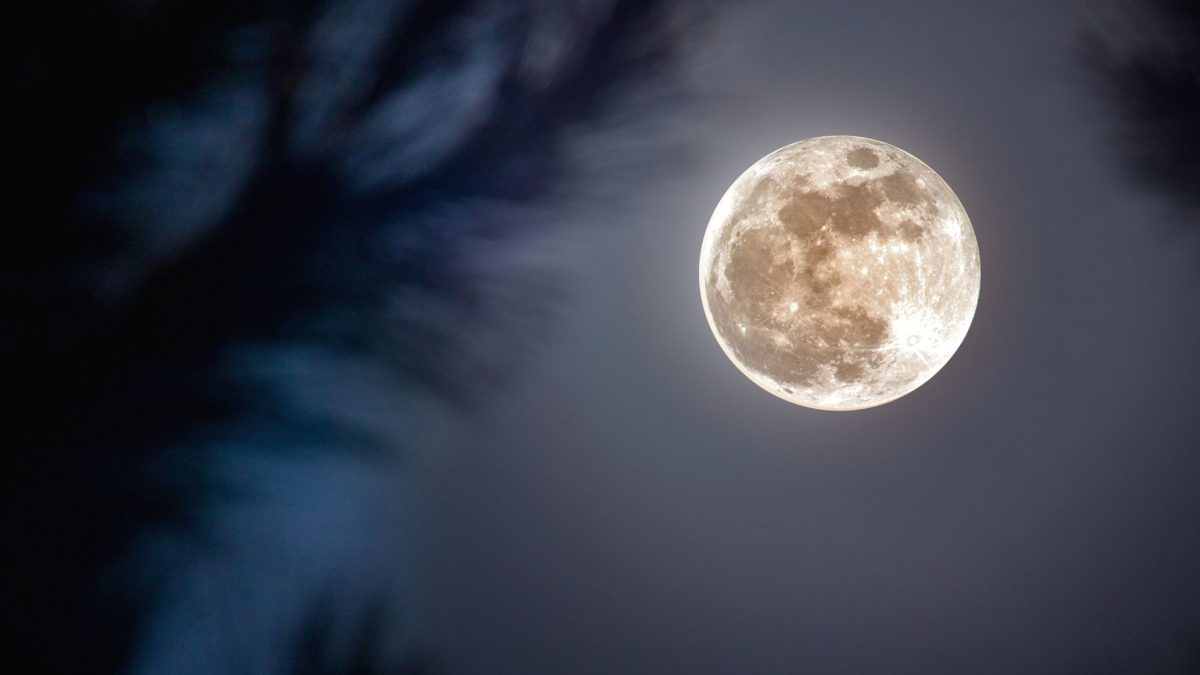 Alte Liebe? Was der Juni-Vollmond jetzt für 3 Sternzeichen bereithält