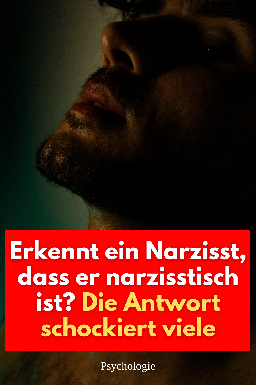 Narzissmus, narzisstische Persönlichkeitsstörung, Narzisst erkennen, erkennt Narzisst sein Verhalten, psychischer Missbrauch, Manipulation, Gaslighting, toxische Beziehung, Selbstreflexion, Narzisst bewusst