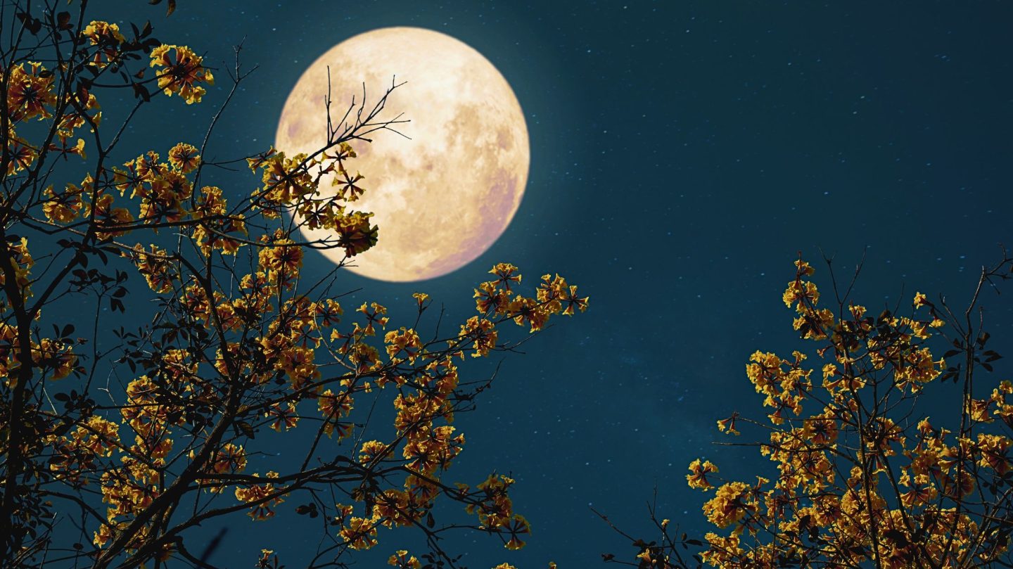 Vollmond 10. Juli 2025: Diese 3 Sternzeichen erhalten endlich Gerechtigkeit