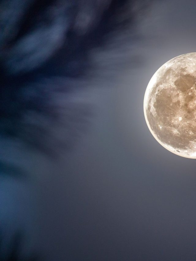 Alte Liebe? Was  der Juni-Vollmond 2025 für deine Liebe bringt? Am 11. Juni öffnet der Schütze-Vollmond alten Herzensangelegenheiten neue Türen – besonders für Löwe, Zwillinge & Schütze.