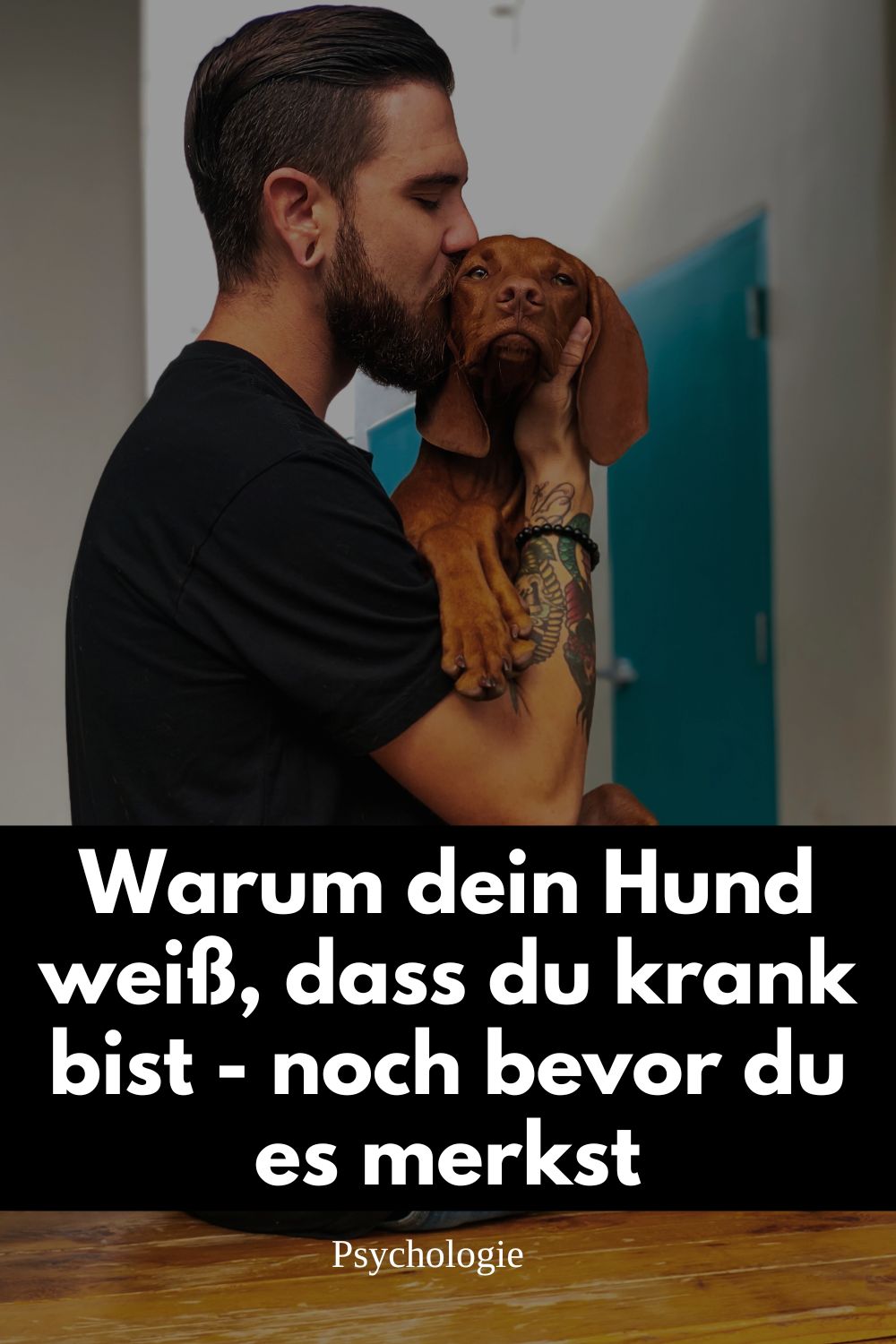 Hunde und Krankheiten, Hund erkennt Krankheit, Hund spürt Krankheit, emotionale Intelligenz Hund, Hunde erschnüffeln Krebs, Therapiehund, Hund warnt bei Krankheit, Hund und Mensch Verbindung, kann mein Hund Krankheiten erkennen, Hund Verhaltensänderung bei Krankheit