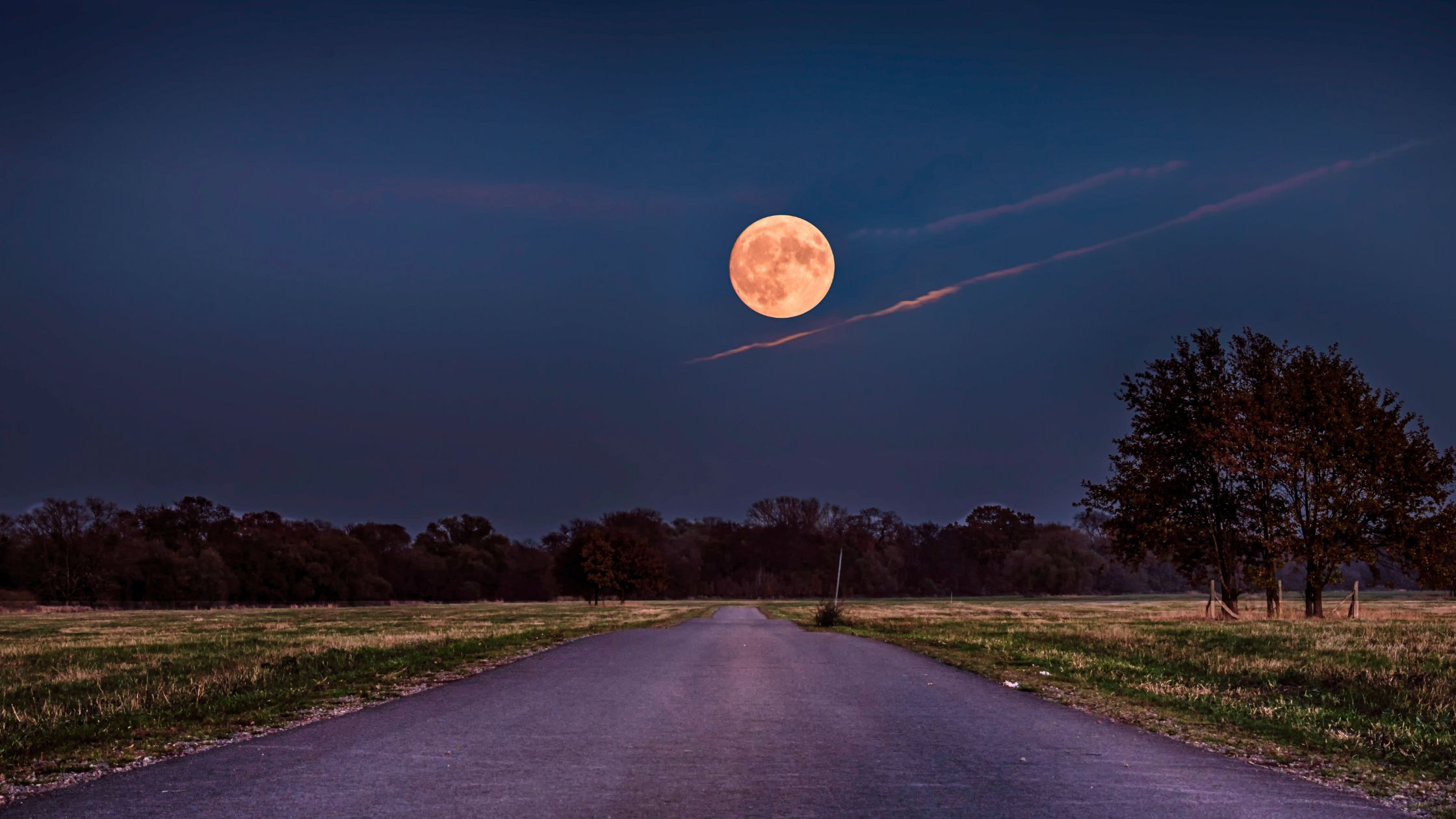 Vollmond August: Ex Partner meldet sich bei diesen 2 Sternzeichen!
