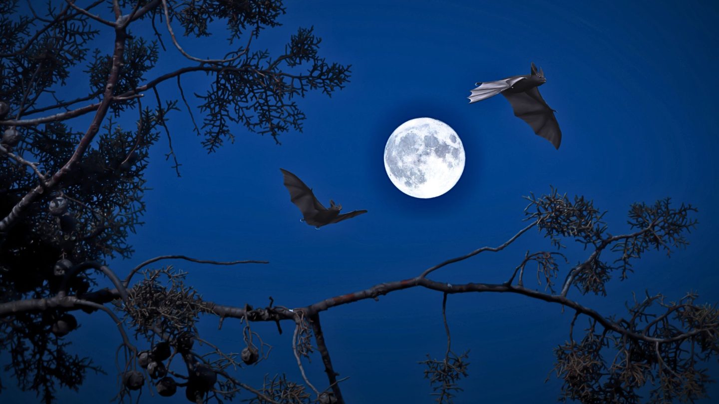 Vollmond im Juli: Diese Sternzeichen spüren endlich Aufwind und neue Hoffnung