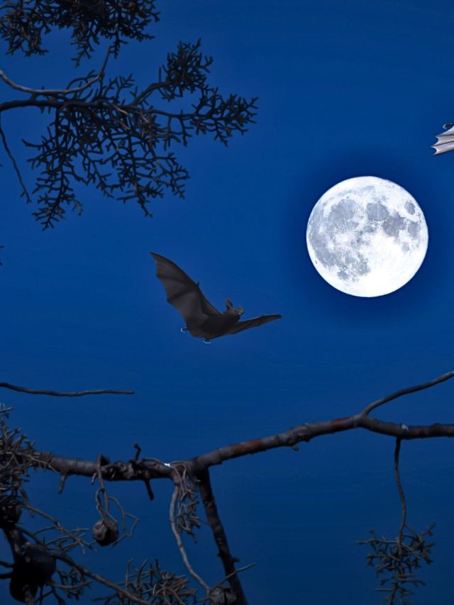 Vollmond am 10. Juli 2025 im Steinbock: Diese 3 Sternzeichen erleben Aufwind, Heilung & neue Hoffnung! Entdecke, wie Schütze, Jungfrau & Wassermann jetzt kosmische Unterstützung erhalten