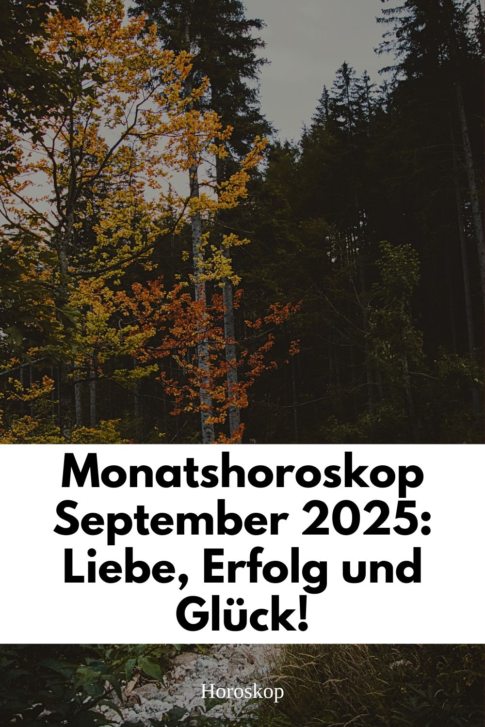 Monatshoroskop September 2025, September 2025 Horoskop, Horoskop September 2025 Liebe, Horoskop September 2025 Erfolg, Horoskop September 2025 Glück, Sternzeichen September 2025, kosmische Energien September 2025, Vollmond September 2025, Neumond September 2025