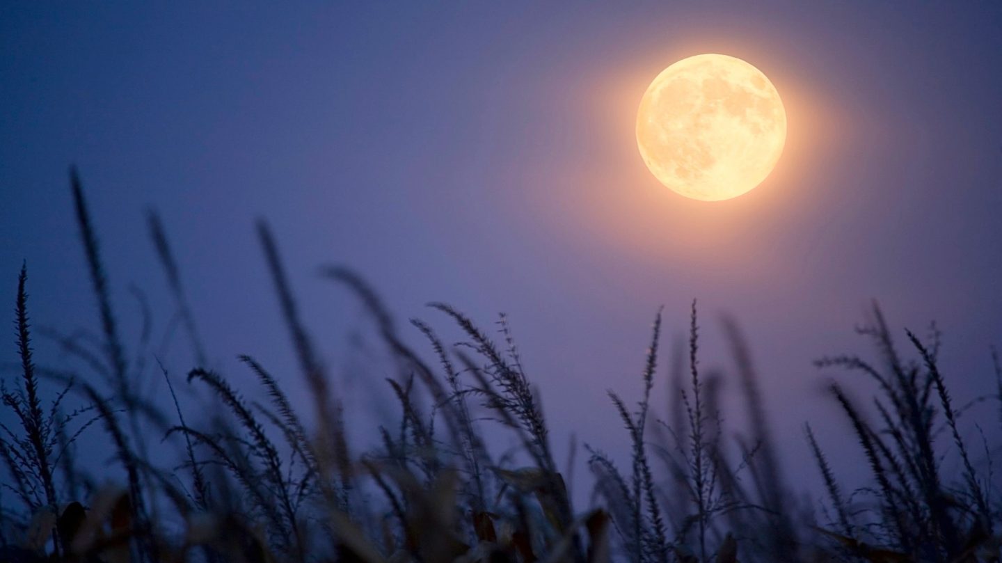 Vollmond im September 2025: Diese 3 Sternzeichen erleben einen bedeutenden Wendepunkt