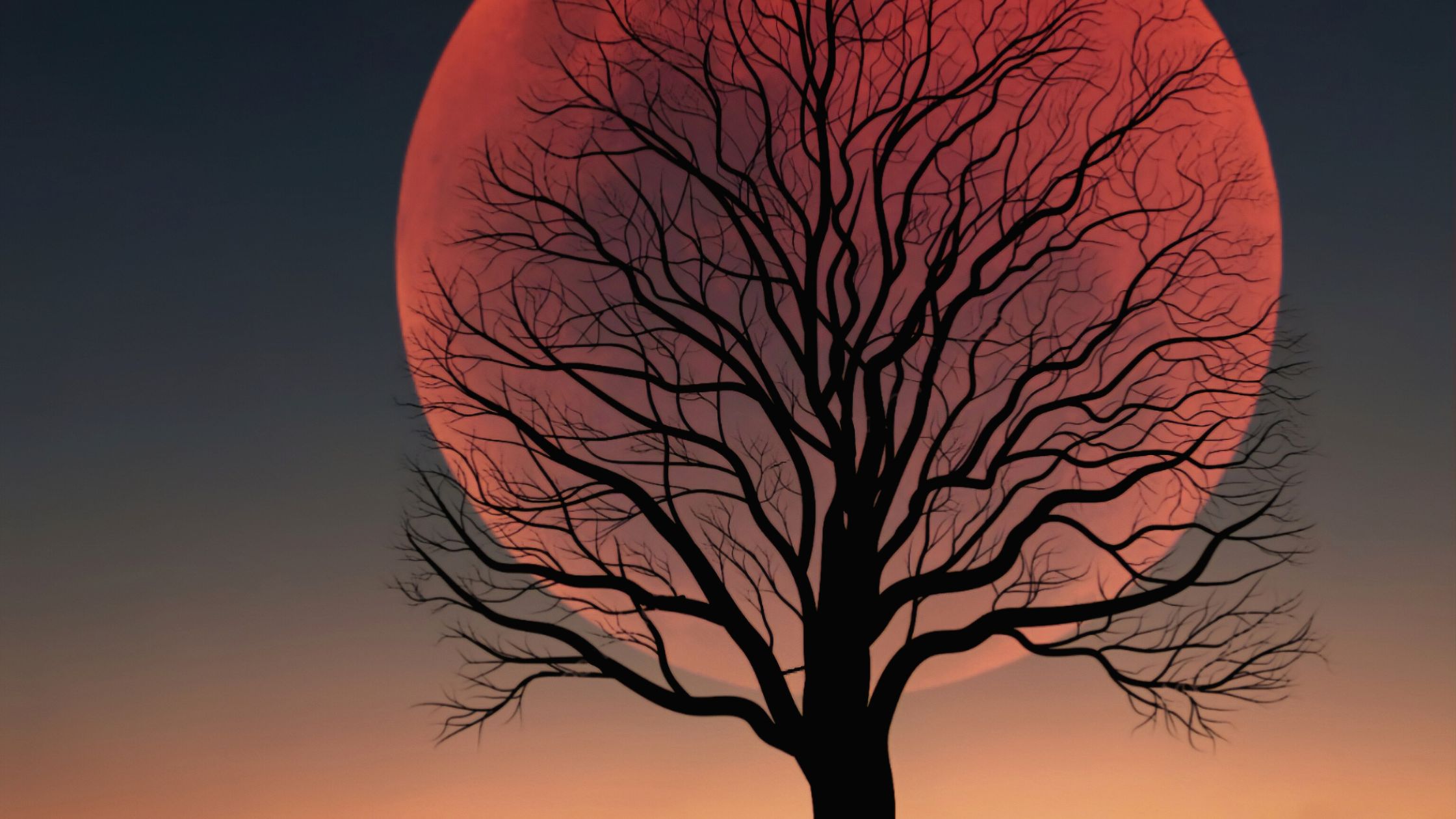 Vollmond Oktober 2025: 3 Sternzeichen hören plötzlich vom Ex