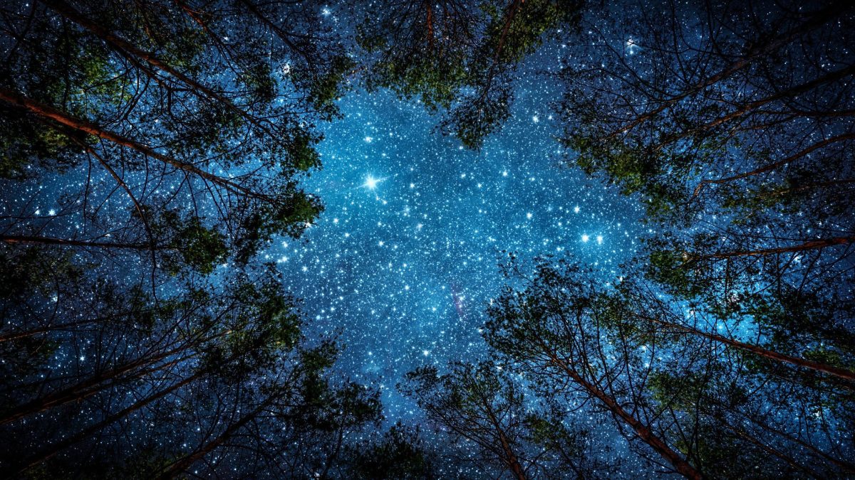 Dein Wochenhoroskop vom 2. bis 9. November 2025