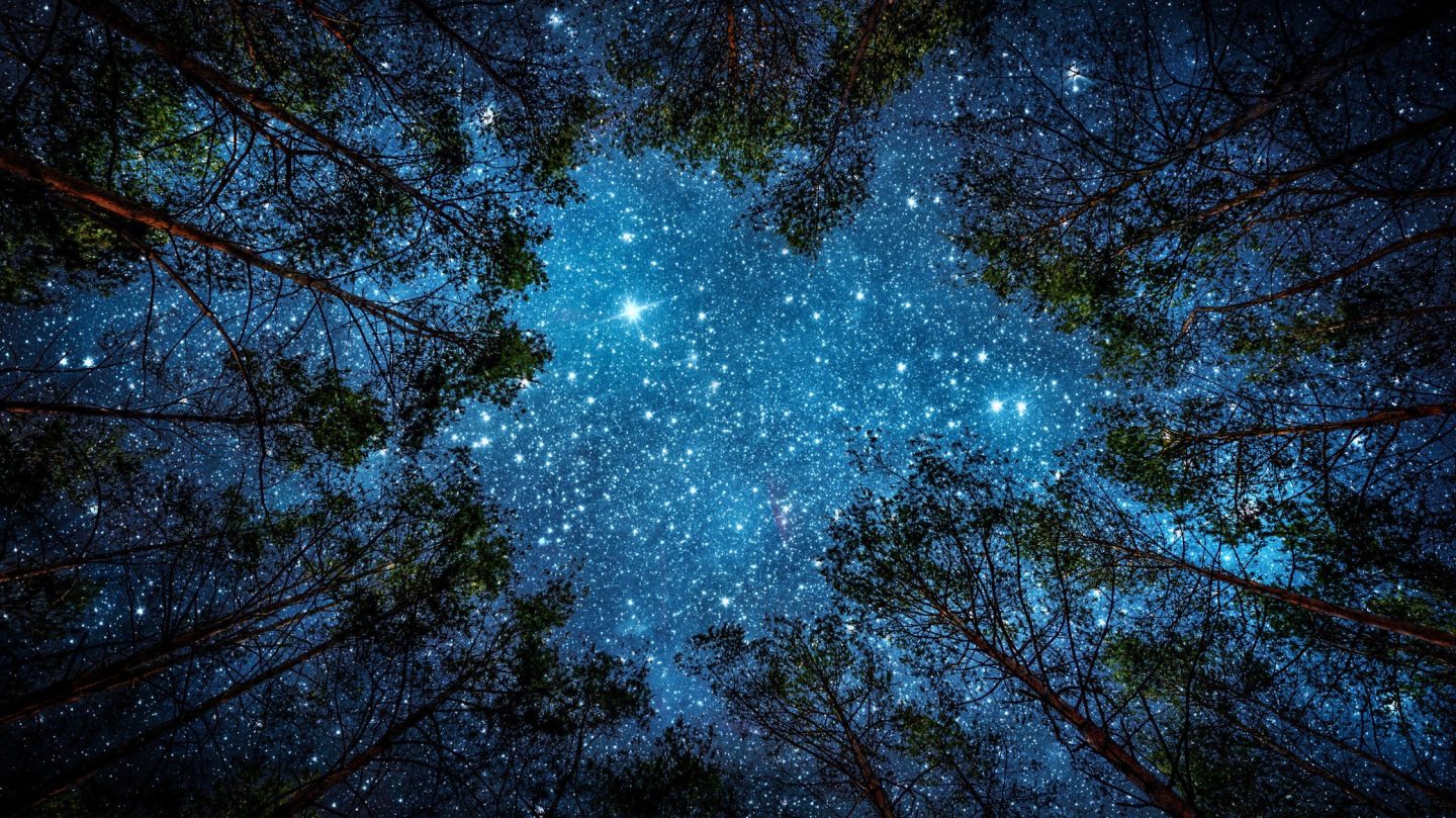 Dein Wochenhoroskop vom 2. bis 9. November 2025