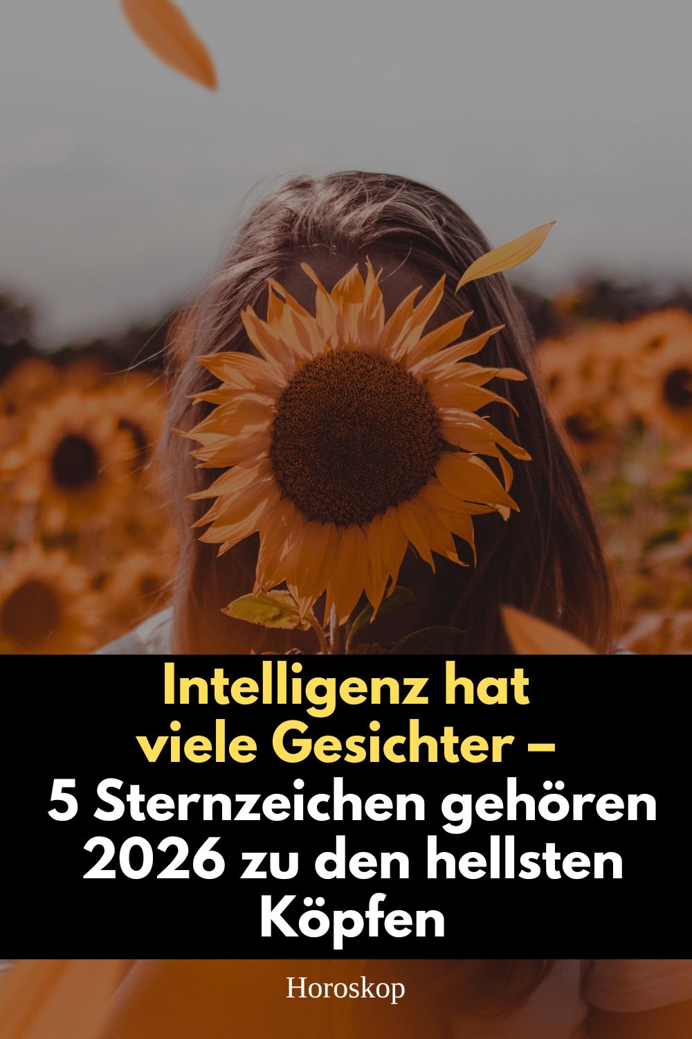 Intelligenz 2026, Sternzeichen Intelligenz, klügste Sternzeichen, astrologische Intelligenz, Zwillinge Intelligenz, Skorpion Intelligenz, Wassermann Intelligenz, Steinbock Intelligenz, Schütze Intelligenz, hellste Köpfe Sternzeichen