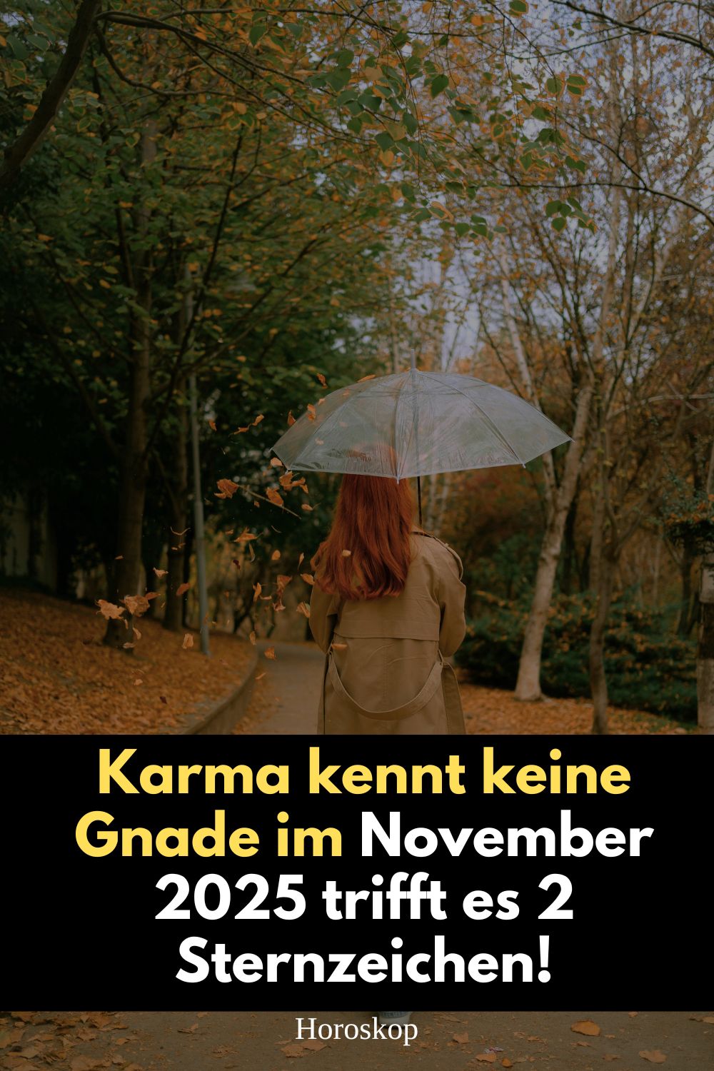 Karma November 2025, Karma Horoskop, Karma Sternzeichen, astrologische Prognose November 2025, Horoskop November 2025, Sternzeichen Karma, Wassermann November 2025, Jungfrau November 2025, Pluto Energie 2025, Saturn Karma 2025, Skorpion Neumond 2025, Stier Vollmond 2025, Karma Wirkung, astrologisches Karma, karmische Lektion, kosmische Energie, Horoskop Blog, Sternzeichen Analyse