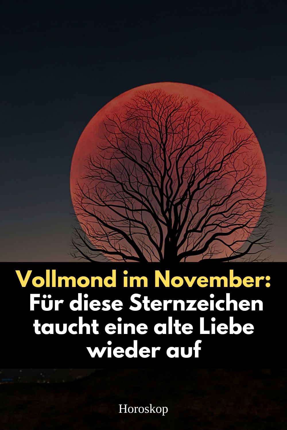 Vollmond November 2025, alter Liebesrückkehr, Ex meldet sich, Sternzeichen Liebe, Vollmond Stier 2025, Merkur rückläufig November, zweite Chance Liebe, Astrologie November, Fische Löwe Waage Vollmond, Liebe aus der Vergangenheit