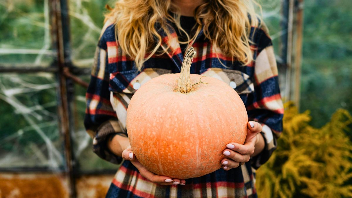 Diese drei Sternzeichen starten vom 2. bis 9. November 2025 in ein glückliches Kapitel