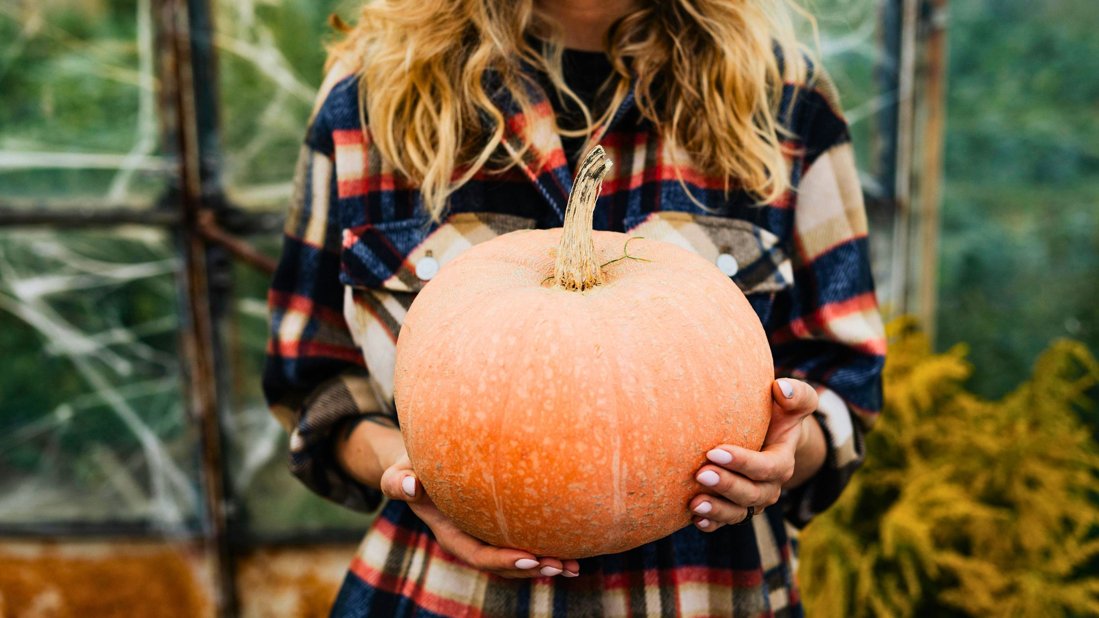 Diese drei Sternzeichen starten vom 2. bis 9. November 2025 in ein glückliches Kapitel