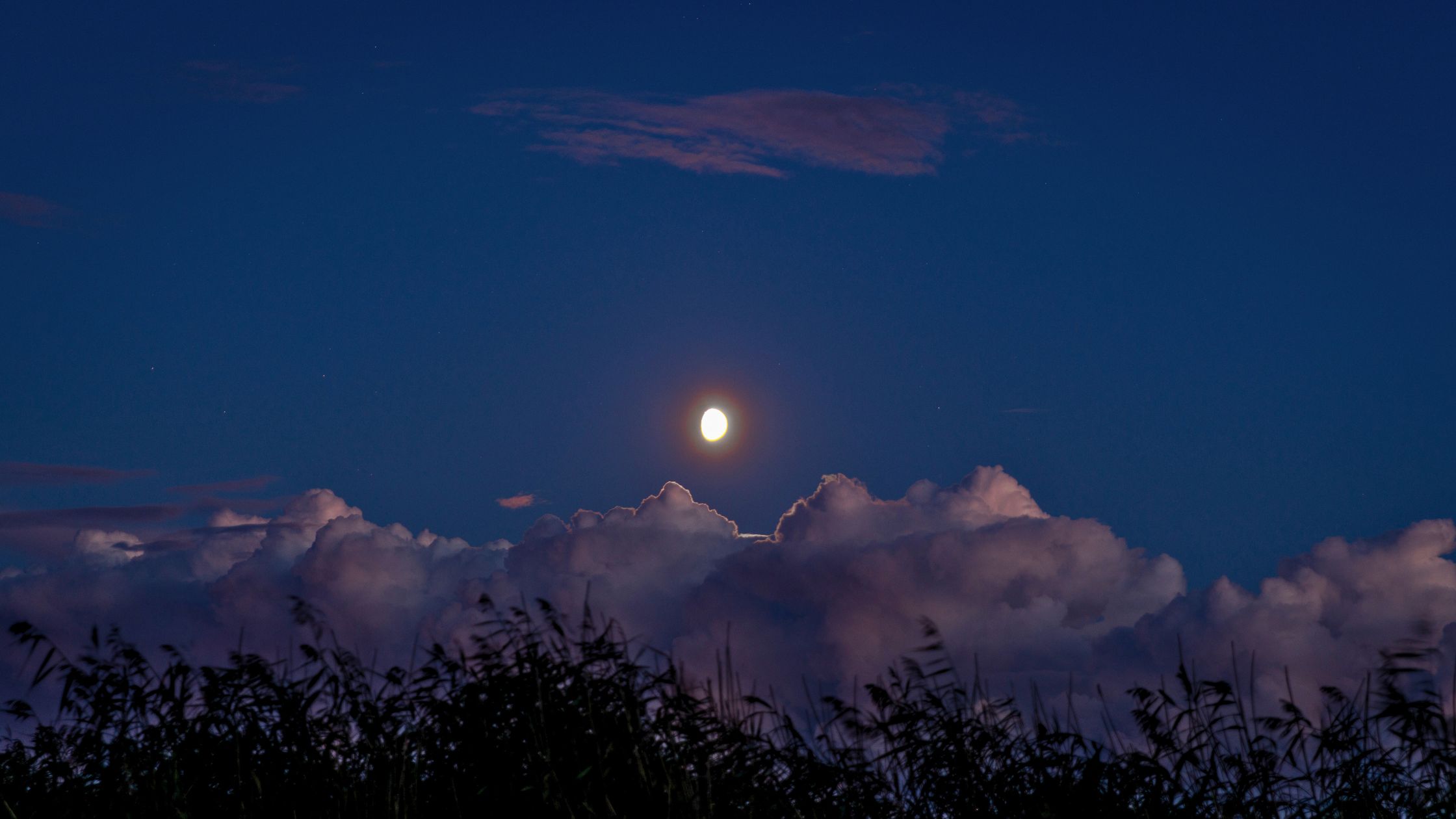 Horoskop für Mittwoch, den 29. Oktober 2025 – Der Moment des inneren Aufbruchs