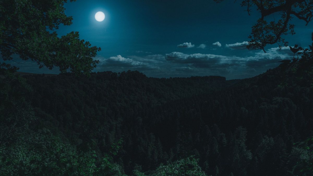Horoskop für Montag, den 27. Oktober 2025 – Sanfte Tiefe & Innere Klarheit
