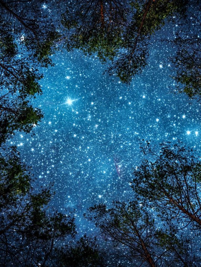 Dein Wochenhoroskop 2.–9. November 2025: Skorpion-Saison & Merkur rückläufig bringen tiefe Erkenntnisse, Heilung und authentische Beziehungen. Erfahre, was Liebe, Beruf & Selbstwert jetzt für Widder bis Fische bedeuten – mit klaren Botschaften, Ritualtipps & Intuition-Boost. Klicke für dein Zeichen & starte bewusst in die Woche! #Wochenhoroskop #November2025 #Sternzeichen #Skorpion #MerkurRückläufig #Liebe #Karriere #Spiritualität