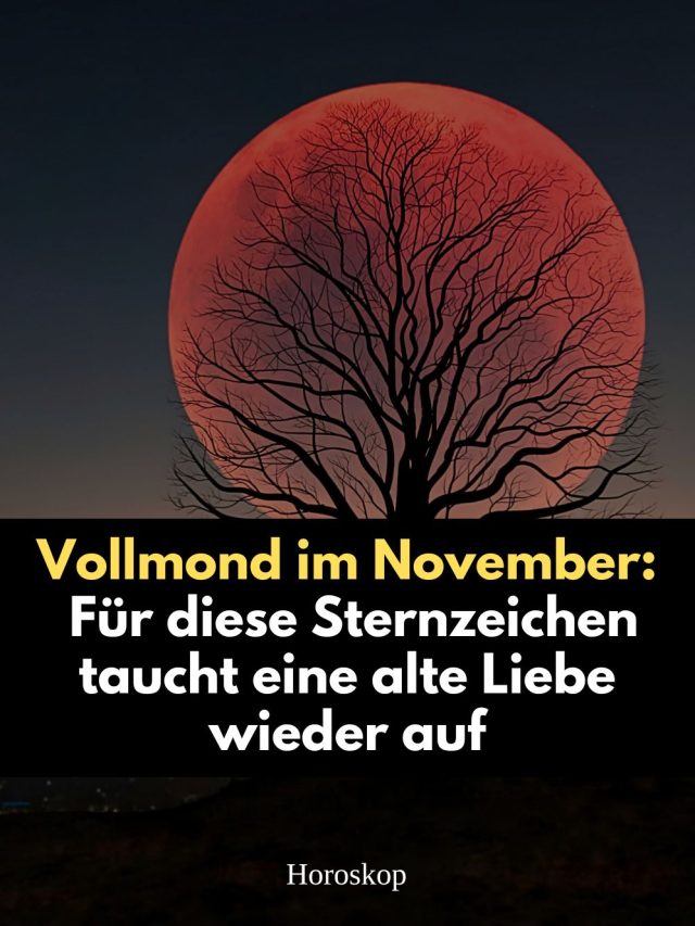 Vollmond am 5. November 2025: Diese Sternzeichen hören plötzlich wieder vom Ex! Wenn der Herbstwind durch die kahlen Äste weht und die letzten goldenen Blätter zu Boden tanzen, dann weißt Du: Es ist Zeit für emotionale Tiefe.