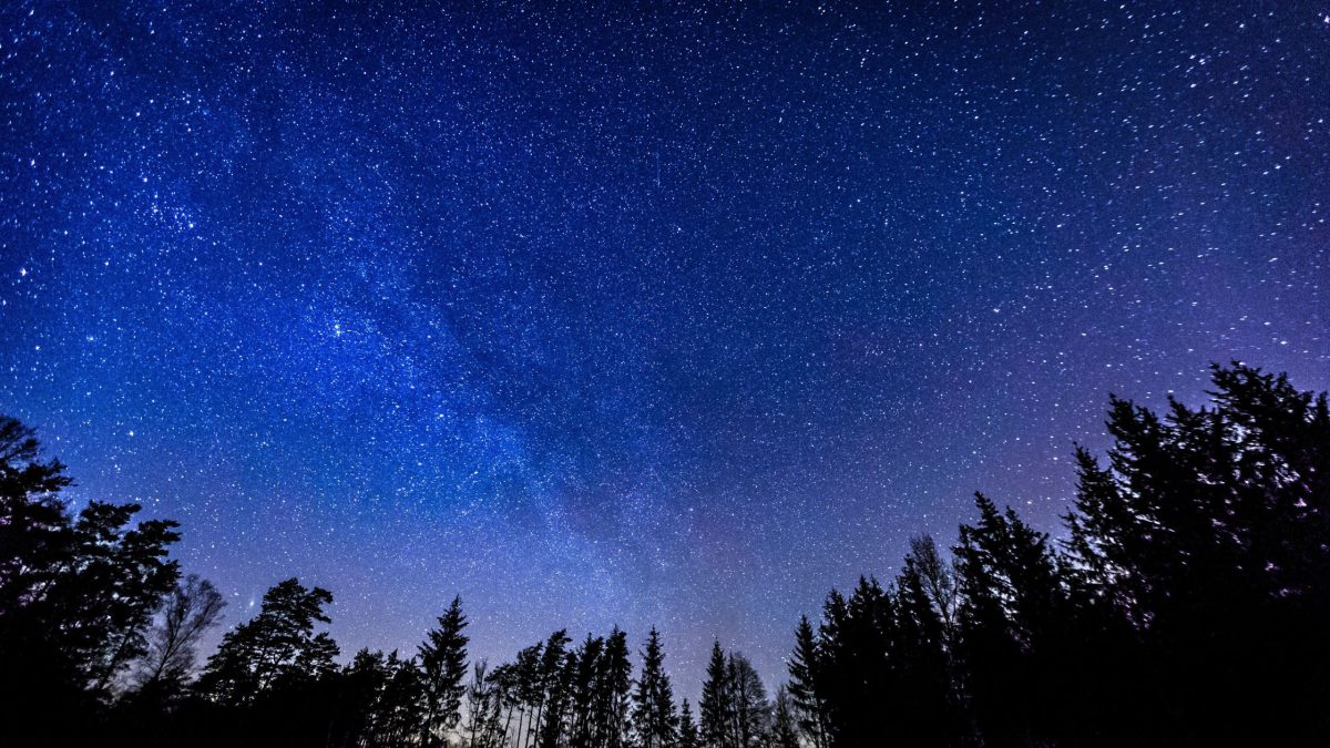 Dein Horoskop für Mittwoch, den 12. November 2025