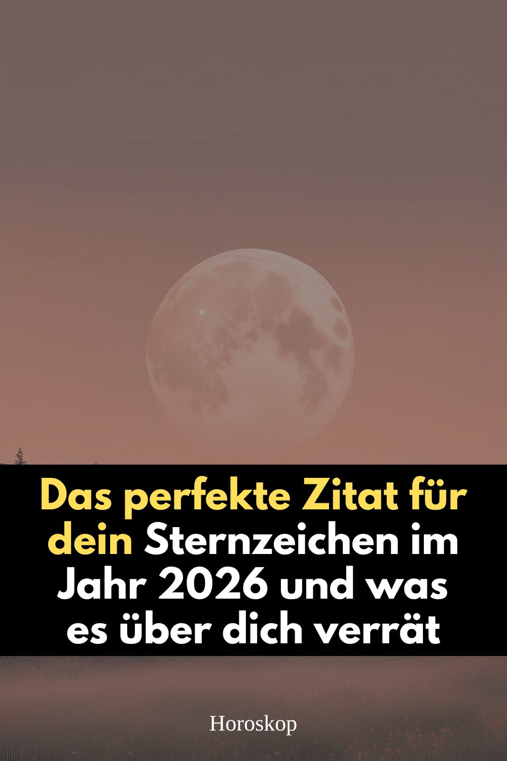 sternzeichen 2026, zitat sternzeichen, horoskop 2026, jahreshoroskop 2026, sternzeichen bedeutung, sternzeichen zitate, astrologie 2026, zitat für dein sternzeichen, persönliches zitat sternzeichen, jupiter 2026, saturn 2026, pluto wassermann 2026, uranus zwillinge 2026, neptun widder 2026
